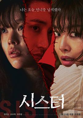 姐妹206【影视解说】