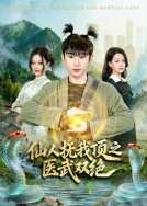仙人抚我顶之医武双绝