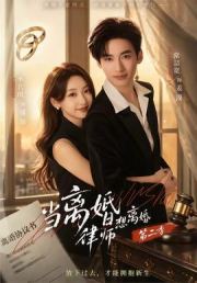 当离婚律师想离婚第二季