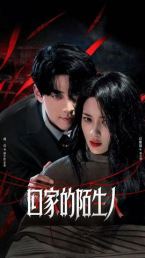 回家的陌生人