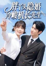 胖丫头隐婚冷峻机长先生