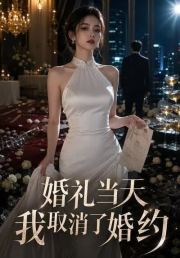 婚礼当天我取消了婚约