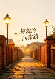 林淼的回家路