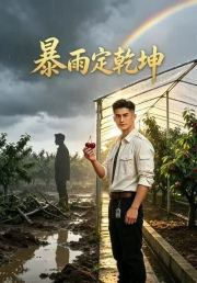 暴雨定乾坤