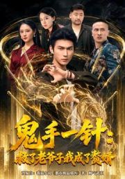 鬼手一针：救了老爷子我成了赘婿