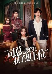 司总，您的棋子想上位
