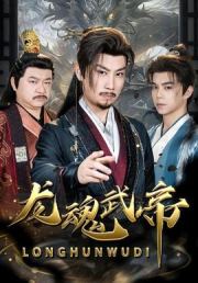 龙魂武帝