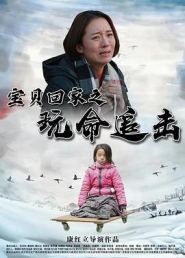 宝贝回家之玩命追击