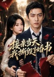 接亲当天：我撕毁了婚书