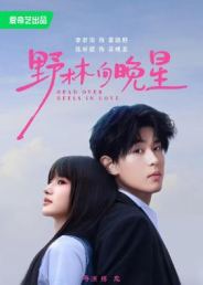 野林向晚星