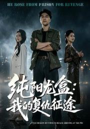 纯阳龙盒：我的复仇征途